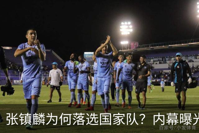 张镇麟为何落选国家队？内幕曝光，叫人心疼，郭士强并没放弃他