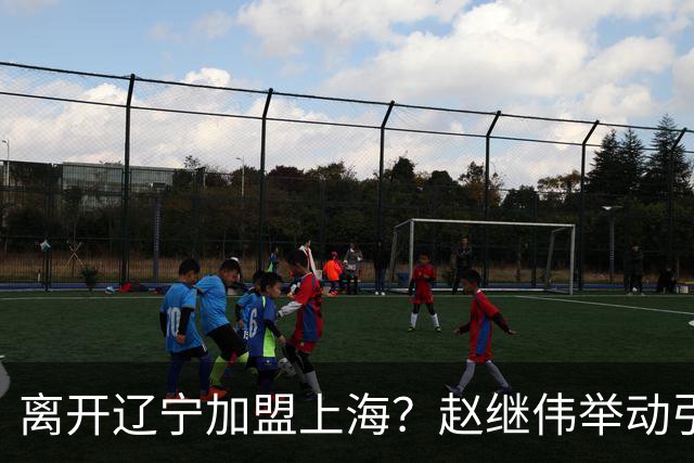 离开辽宁加盟上海？赵继伟举动引猜想，卢伟表态有深意 1队更合适